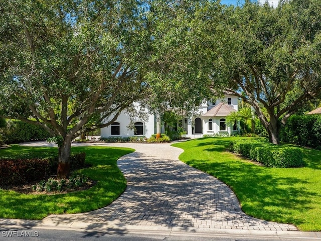 view of front of house with a front yard