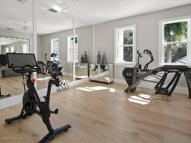 exercise room with light wood-type flooring and ceiling fan