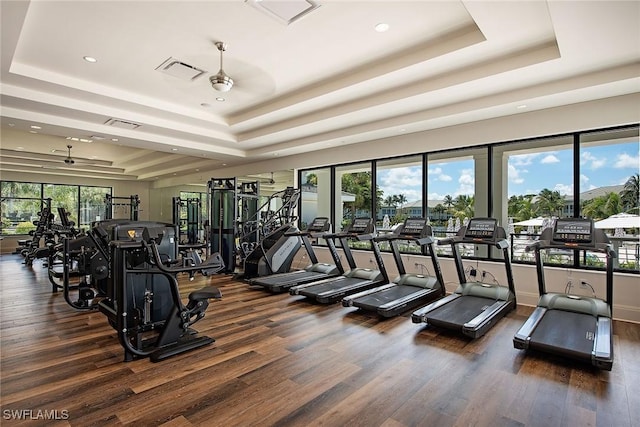 workout area featuring dark hardwood / wood-style floors and a tray ceiling