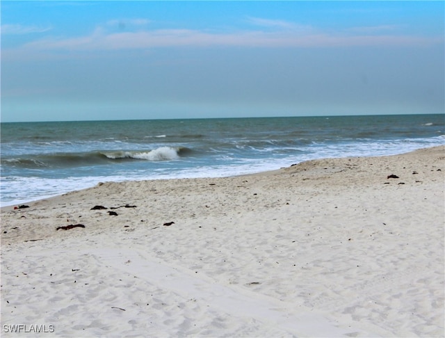 view of water feature featuring a beach view