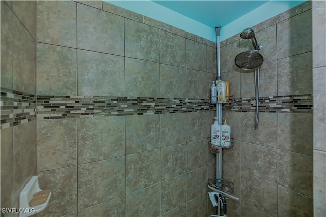 interior details with tiled shower