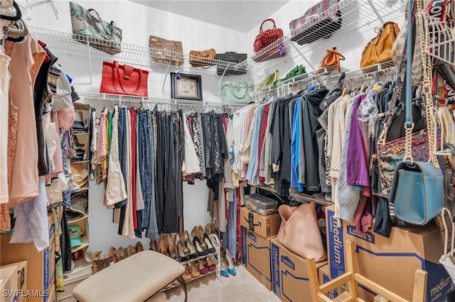 spacious closet featuring carpet flooring