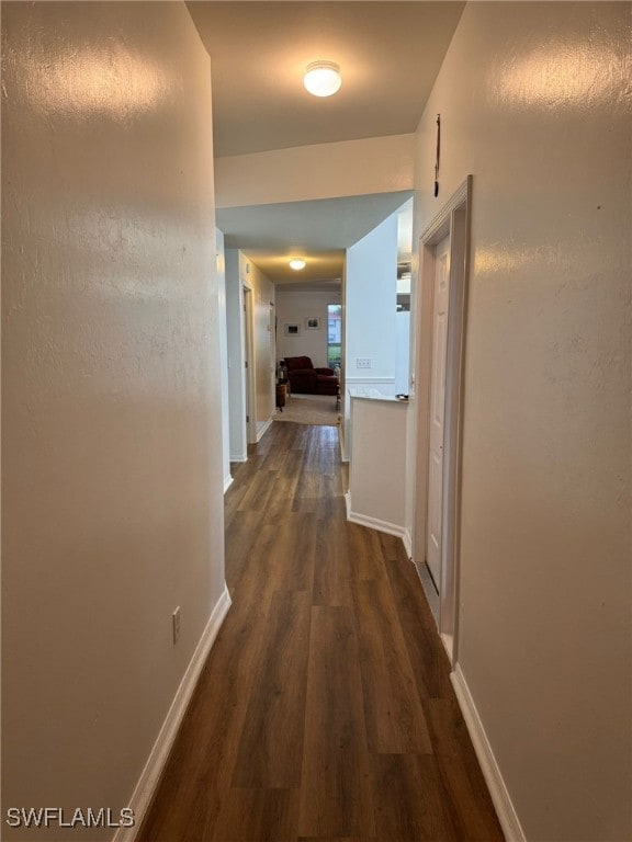 corridor featuring dark wood-type flooring