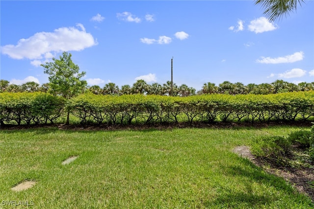 view of yard featuring a rural view