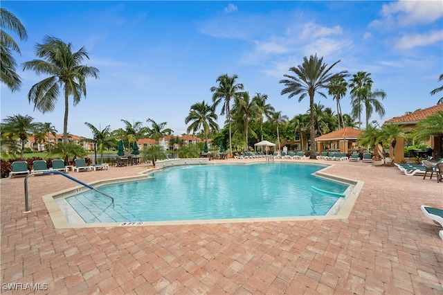 view of pool featuring a patio