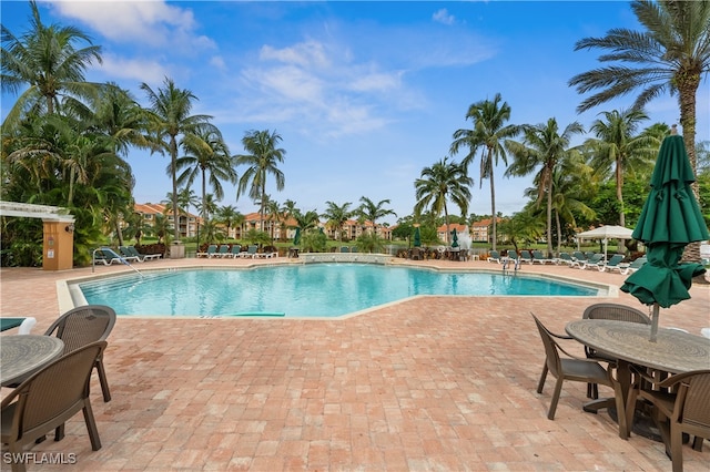 view of pool with a patio area