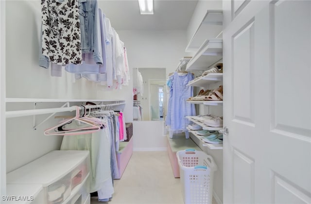 view of spacious closet