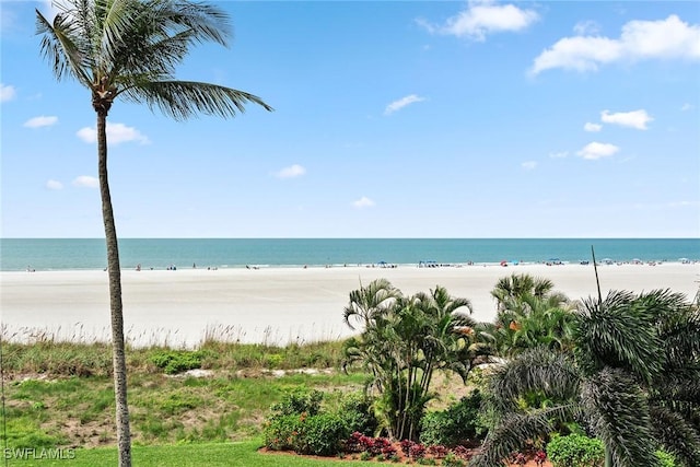 water view featuring a view of the beach