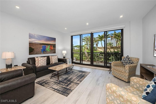 living room featuring light hardwood / wood-style flooring