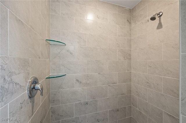 2611 NE 22nd Ave, Cape Coral, FL 33909 - full bath featuring a tile shower