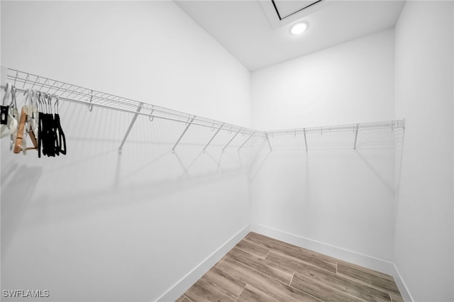 walk in closet featuring hardwood / wood-style floors