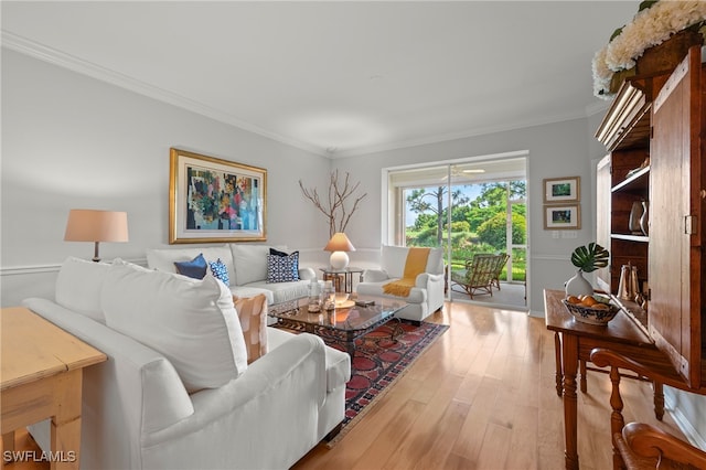 living room featuring ornamental molding and light wood-type flooring