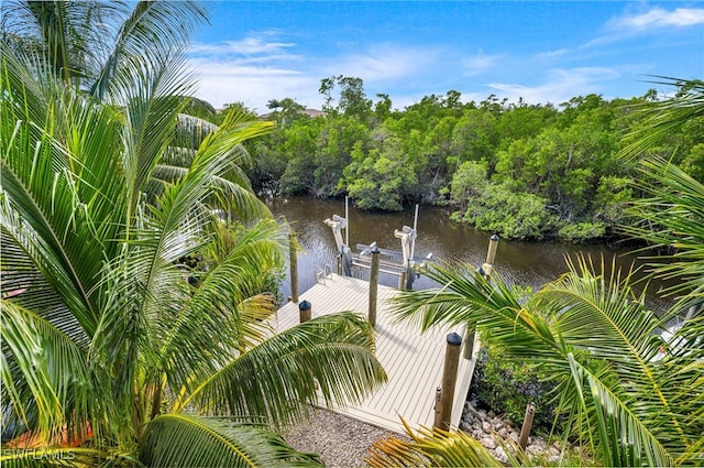 view of community with a boat dock and a water view