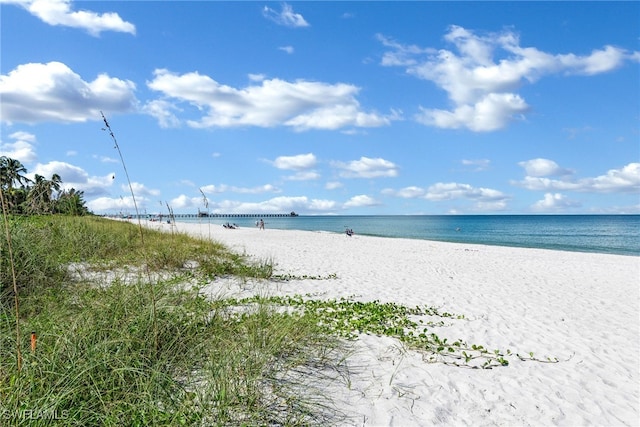 property view of water featuring a beach view