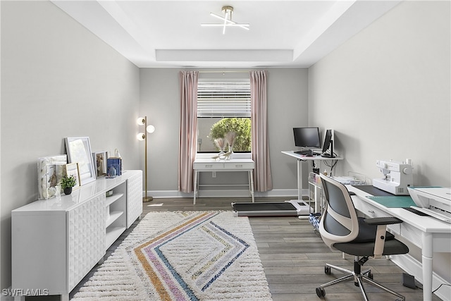 office with a raised ceiling and hardwood / wood-style flooring