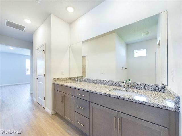 bathroom with hardwood / wood-style flooring and vanity