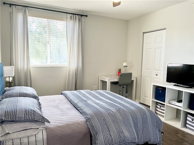 bedroom featuring ceiling fan, a closet, and dark hardwood / wood-style flooring