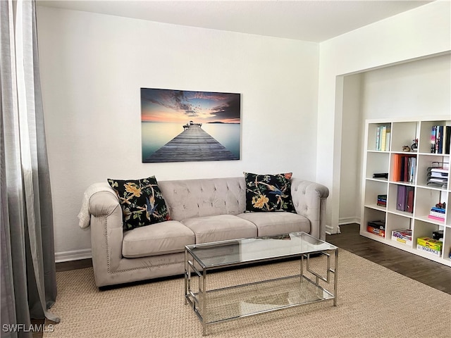 living room with hardwood / wood-style flooring