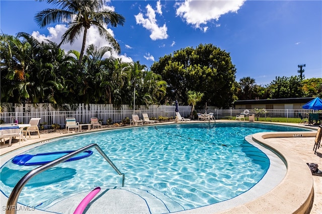 view of swimming pool