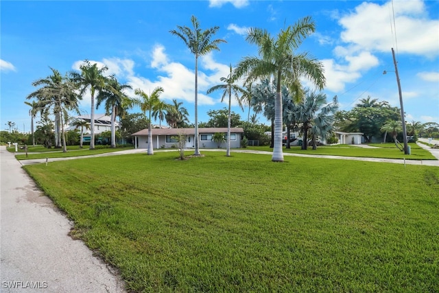 view of property's community with a yard