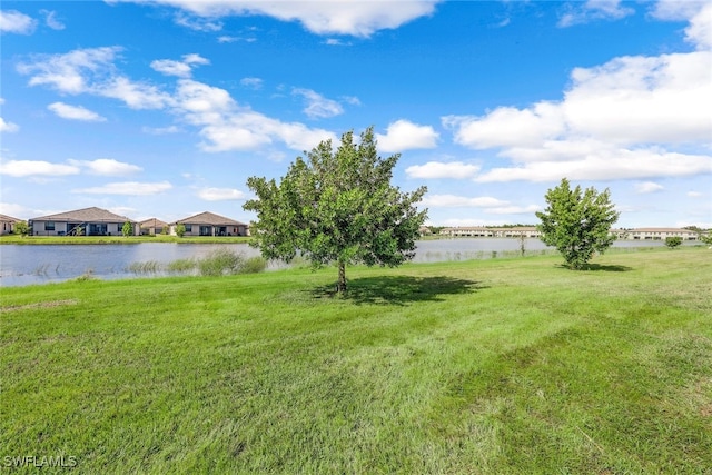 view of yard with a water view