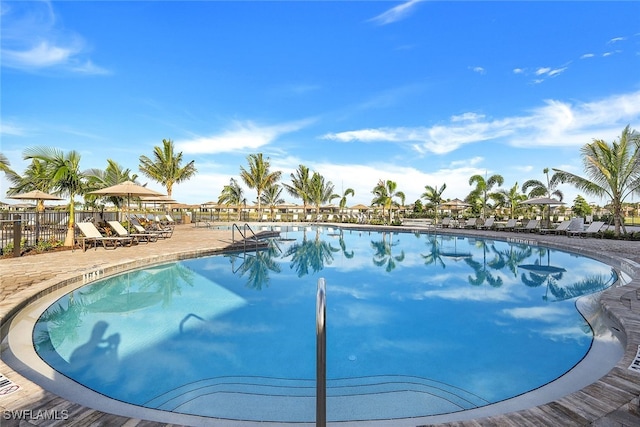 view of swimming pool featuring a patio area