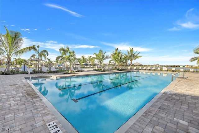 view of swimming pool featuring a patio area