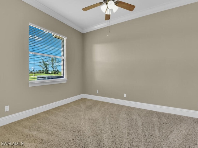 spare room with ceiling fan, carpet flooring, and crown molding