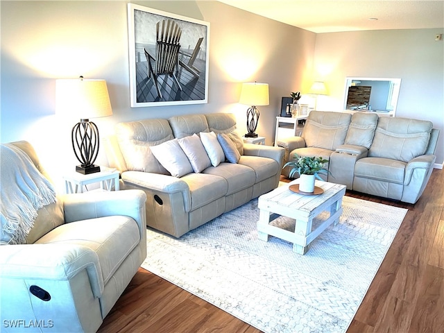 living room with hardwood / wood-style flooring