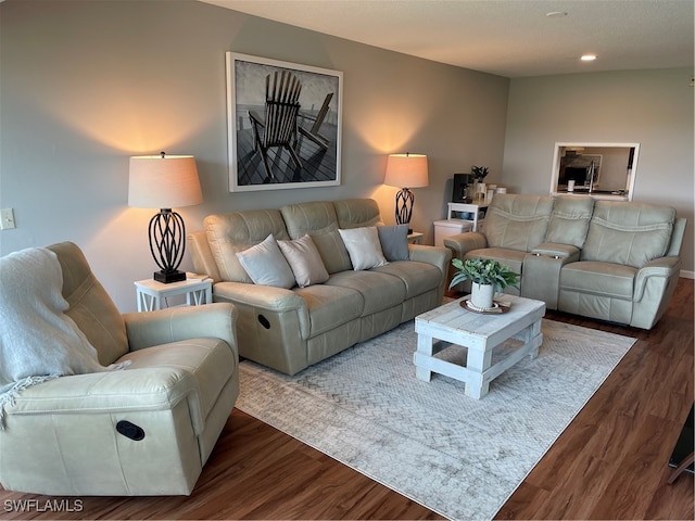 living room featuring dark hardwood / wood-style flooring