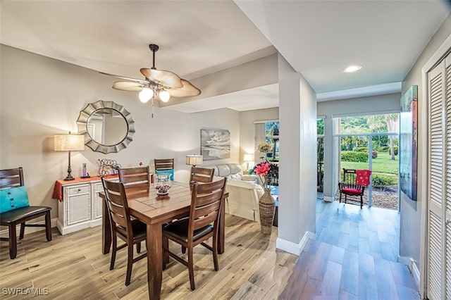 dining area featuring ceiling fan and light hardwood / wood-style floors