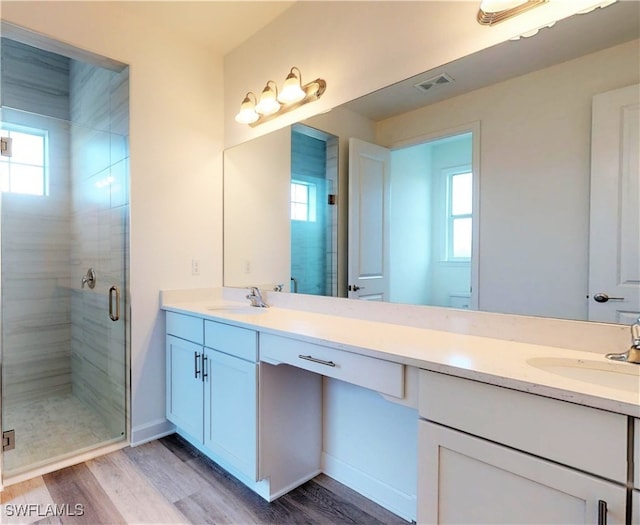 bathroom with a wealth of natural light, a shower with shower door, and vanity