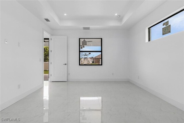 spare room featuring a raised ceiling and a wealth of natural light