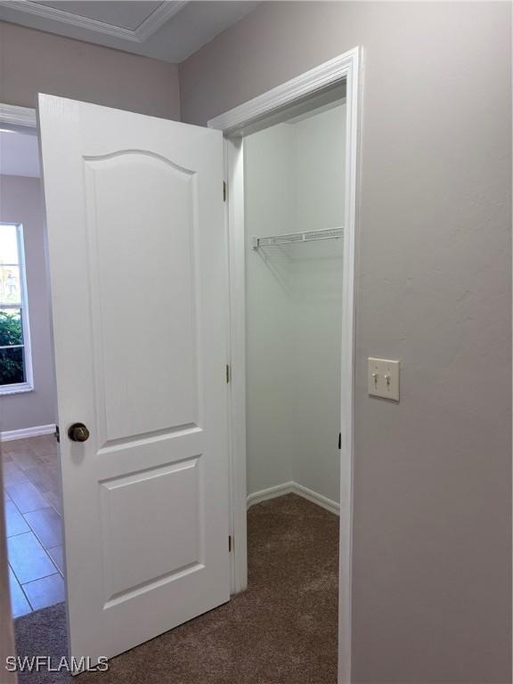 corridor featuring carpet floors and baseboards