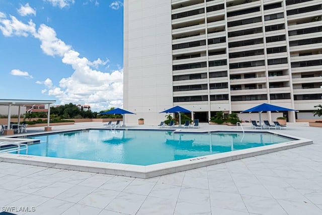 view of pool featuring a patio area