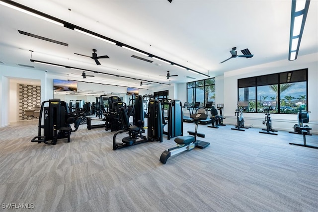 gym with carpet and ceiling fan