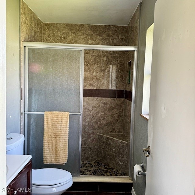 bathroom with vanity, toilet, and a shower with shower door