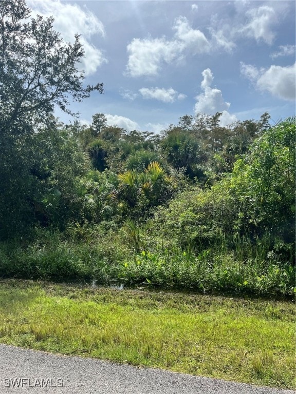 00 37th Ave NE, Naples FL, 34120 land for sale