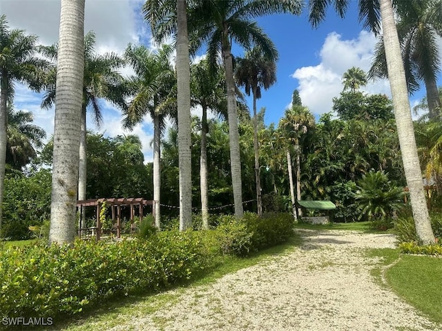 view of community with a pergola