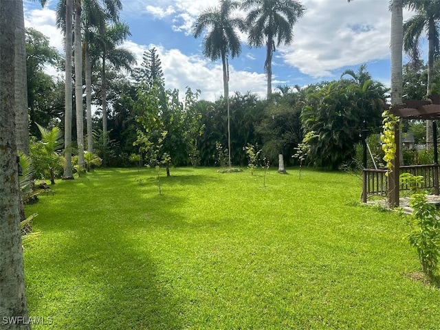 view of yard featuring a pergola