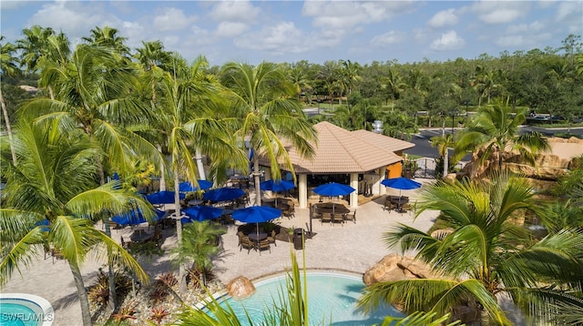 view of swimming pool with a patio area