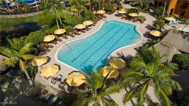 view of pool featuring a patio area