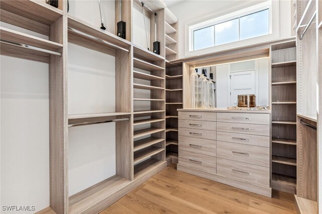 spacious closet with light hardwood / wood-style flooring