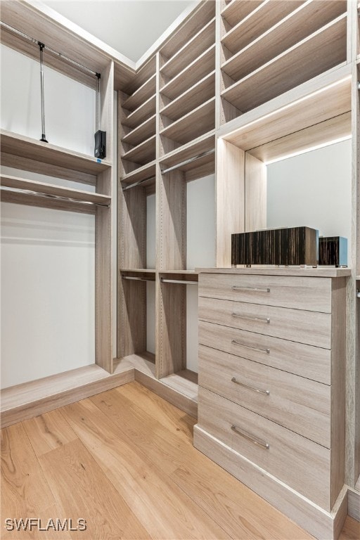 spacious closet with hardwood / wood-style flooring