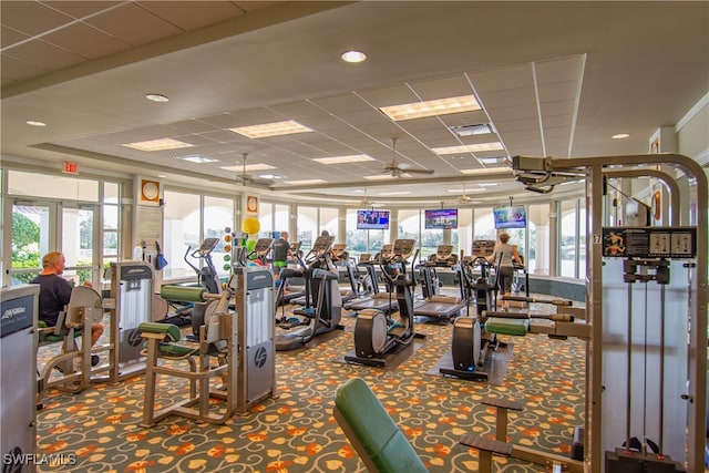 gym with carpet flooring, a paneled ceiling, and ceiling fan