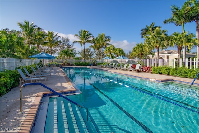 view of swimming pool featuring a patio area