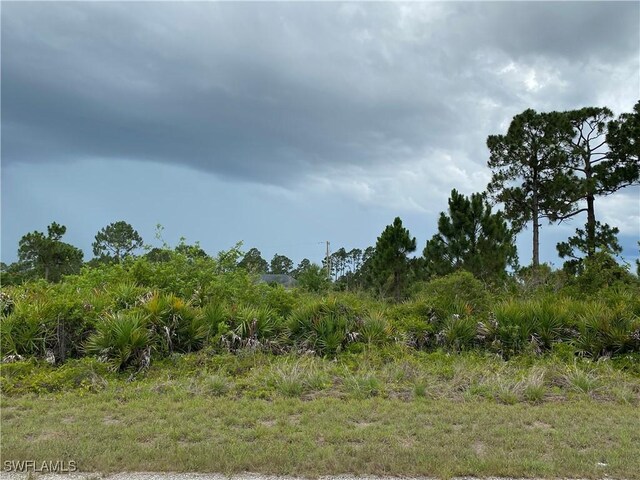 1238 Garibaldi St E, Lehigh Acres FL, 33974 land for sale