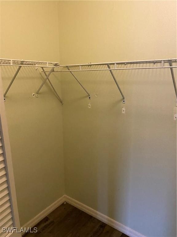 spacious closet featuring hardwood / wood-style floors