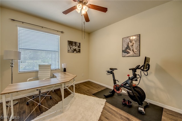 office space with ceiling fan and dark hardwood / wood-style floors