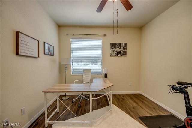 office featuring wood-type flooring and ceiling fan